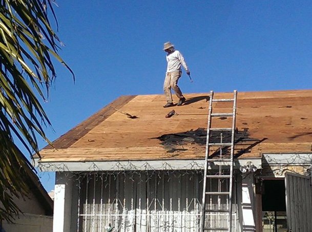 Stripped Roof
